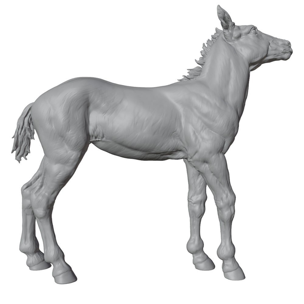 Hochdetaillierter Druck, reali – 3D Printing Article Bewertung und Preis